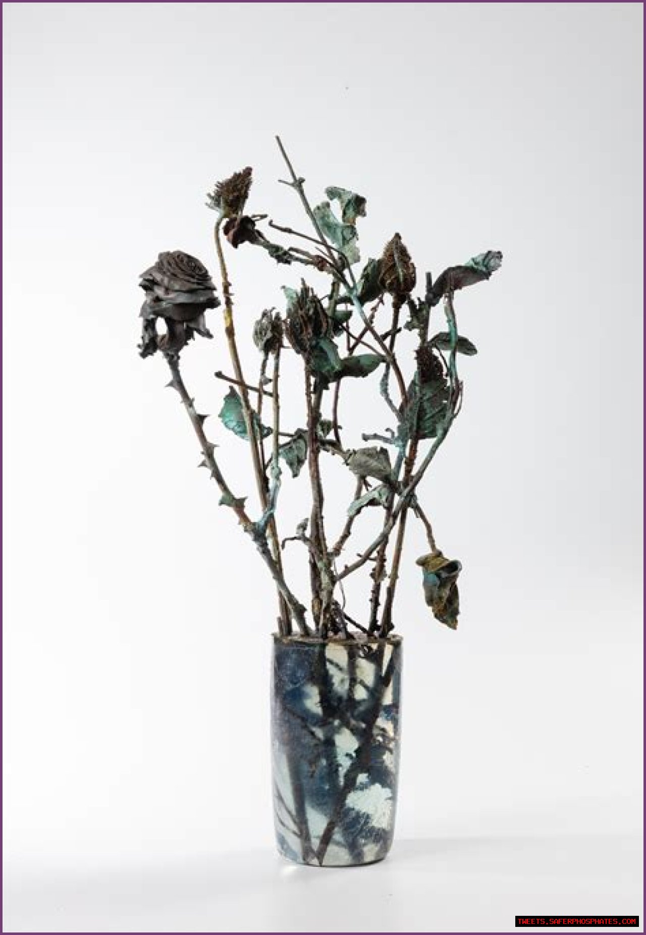 Unveiling Alia Rose's Multifaceted Career: Discoveries And Insights